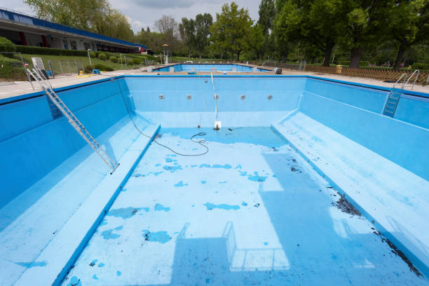 Best Water damage restoration company  in Manvel, TX