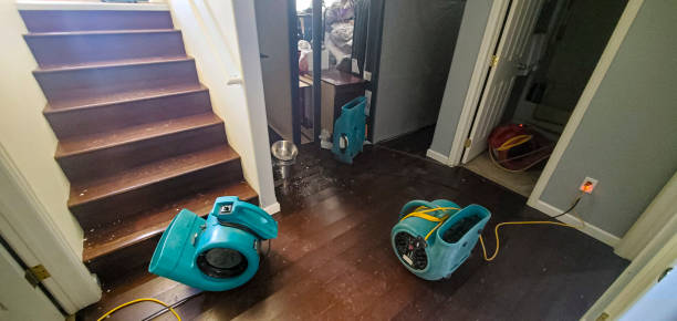 Best Flood damage cleanup  in Manvel, TX