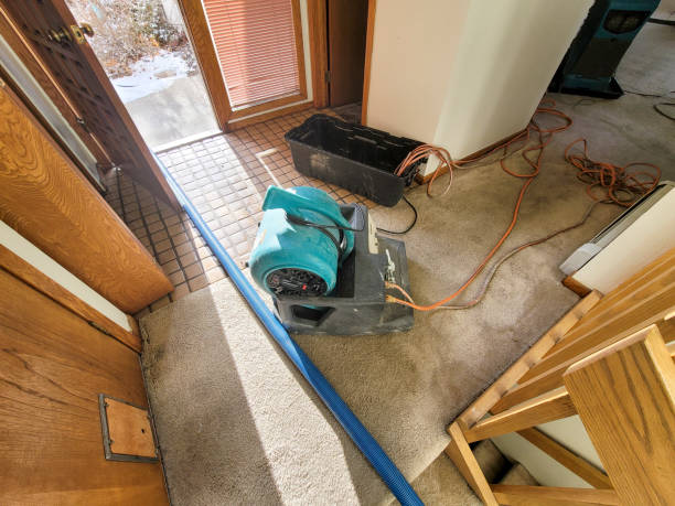 Best Local water damage restoration  in Manvel, TX
