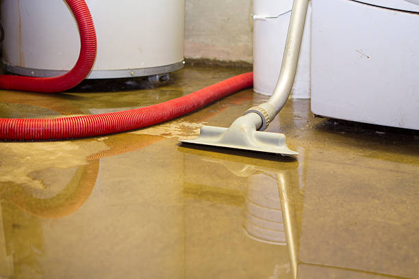 Best Emergency water extraction  in Manvel, TX