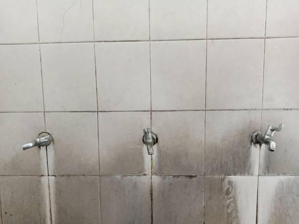 Professional Water damage restoration in Manvel, TX