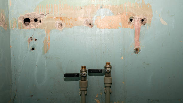 Best Water damage restoration insurance claims  in Manvel, TX
