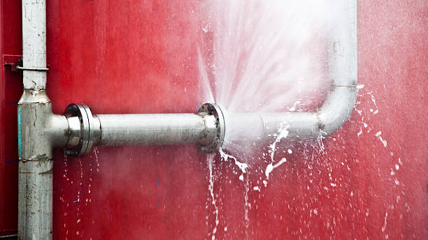  Manvel, TX Water damage restoration Pros